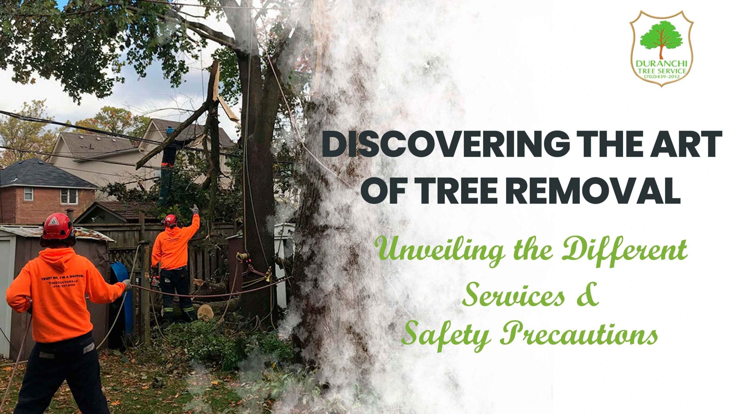 Discovering the Art of Tree Removal: Unveiling the Different Services & Safety Precautions