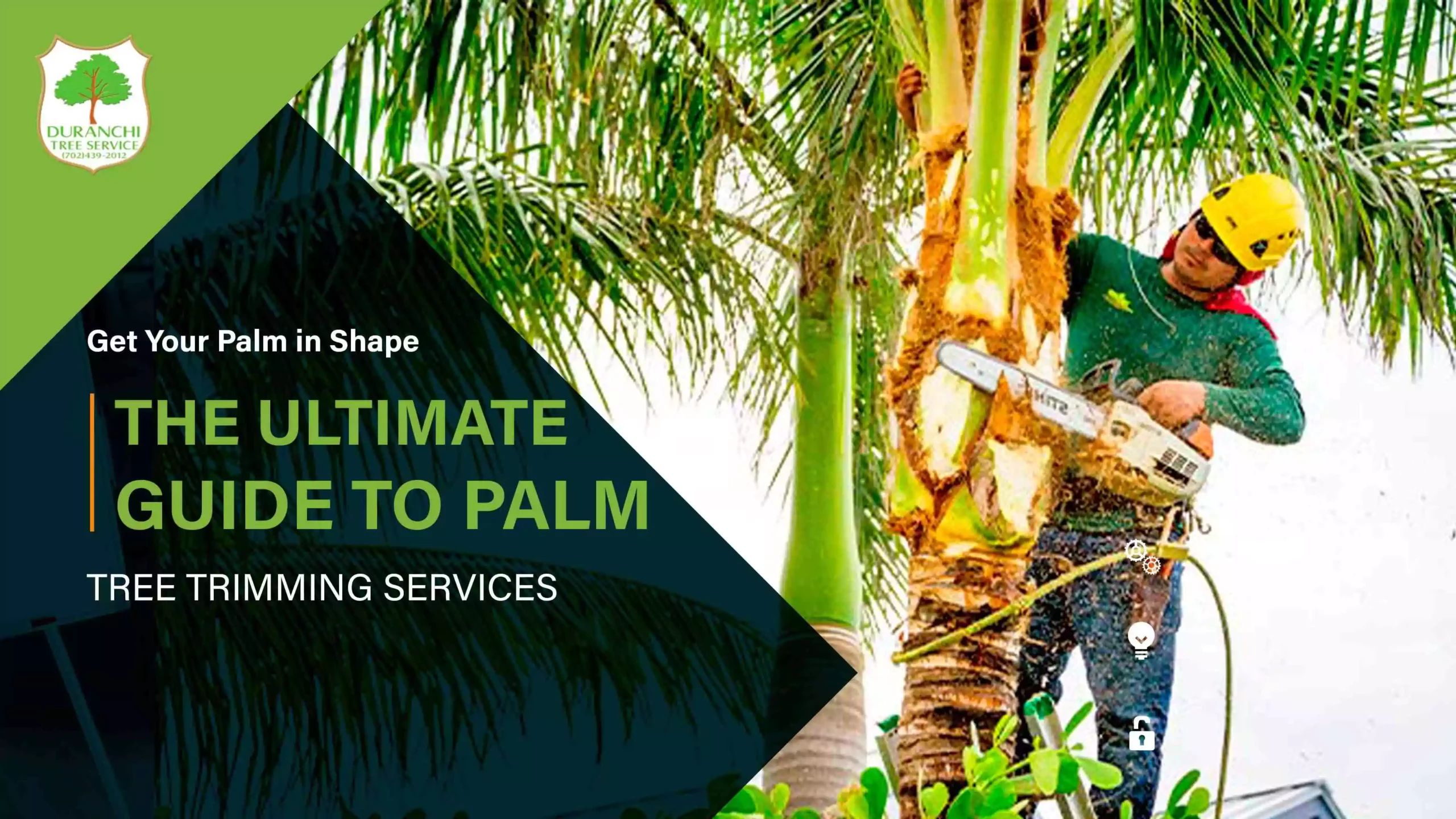 Get Your Palm in Shape: The Ultimate Guide to Palm Tree Trimming Services