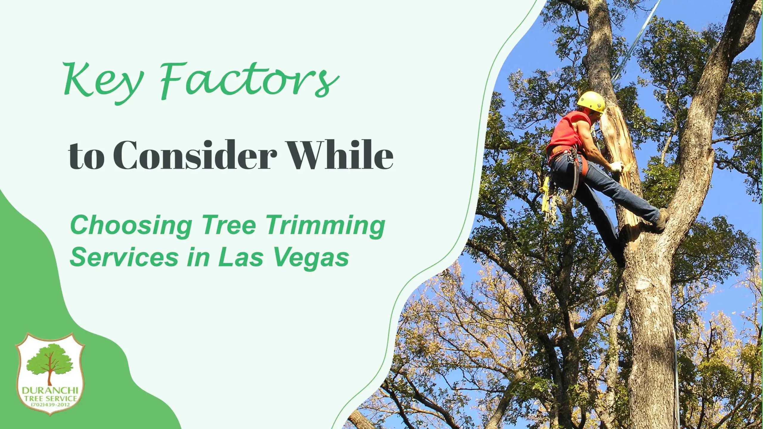 Key Factors to Consider While Choosing Tree Trimming Services in Las Vegas