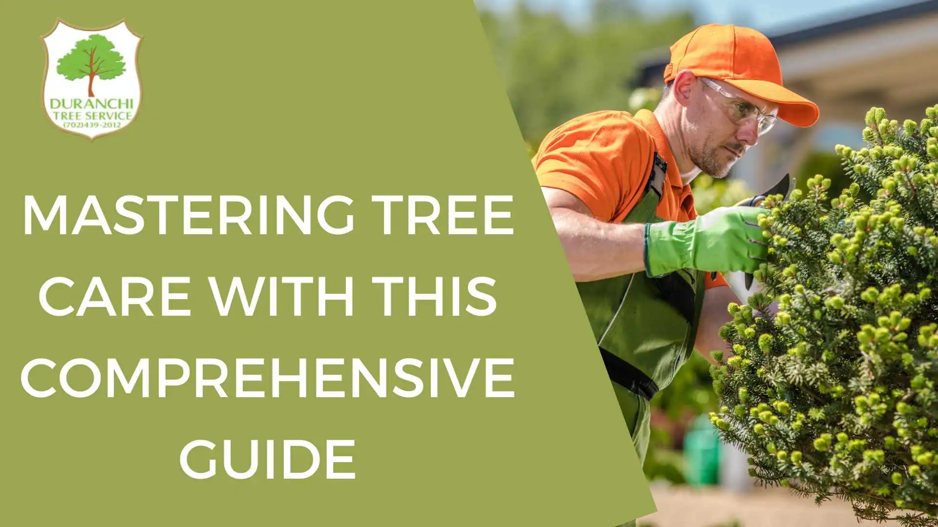 Your Green Oasis: Mastering Tree Care with this Comprehensive Guide