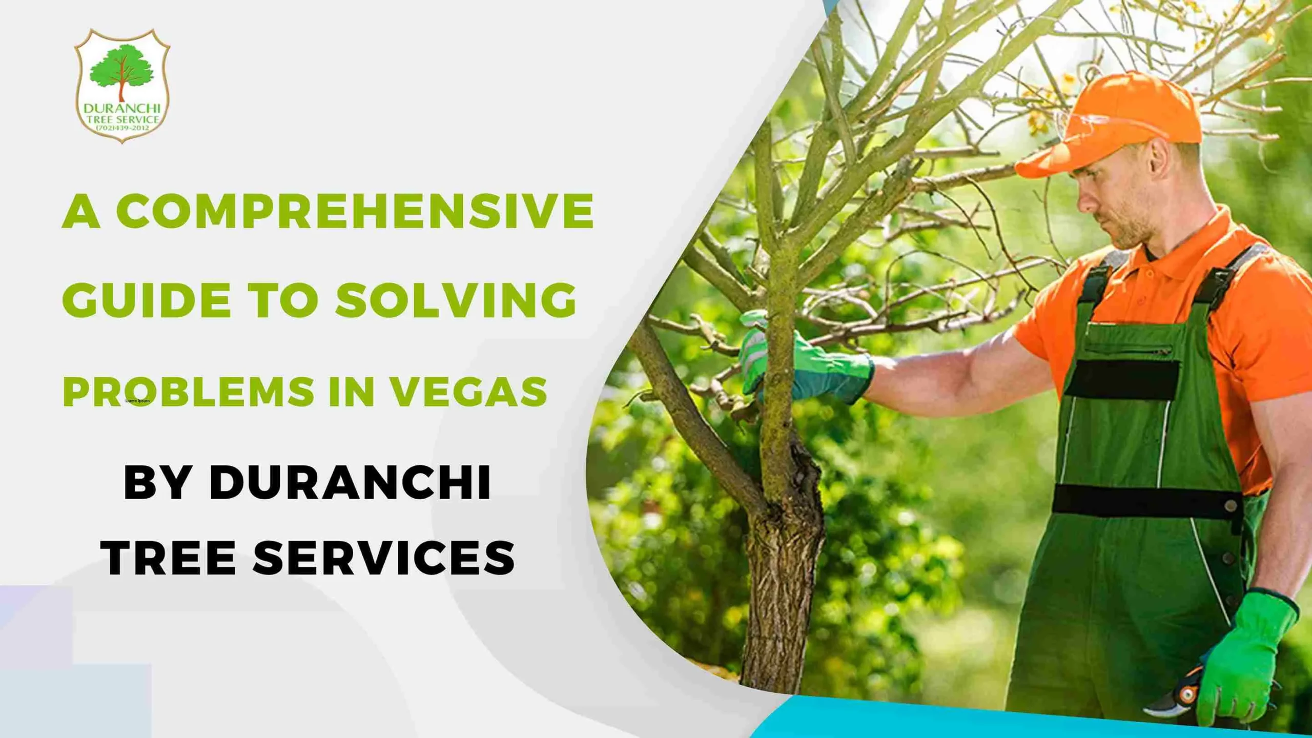 A Comprehensive Guide to Solving Tree Problems in Vegas by Duranchi Tree Services