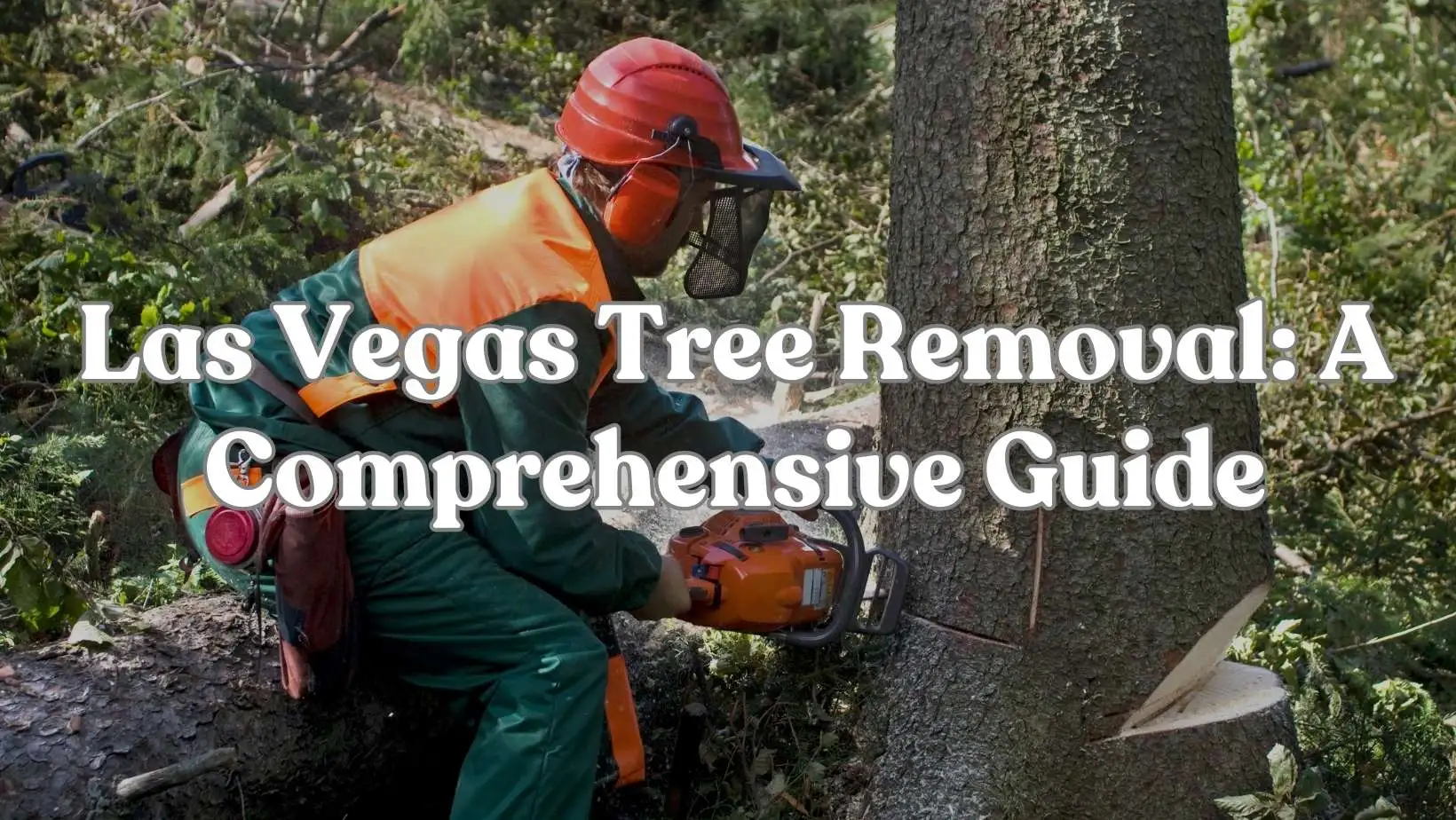 Las Vegas Tree Removal: A Comprehensive Guide