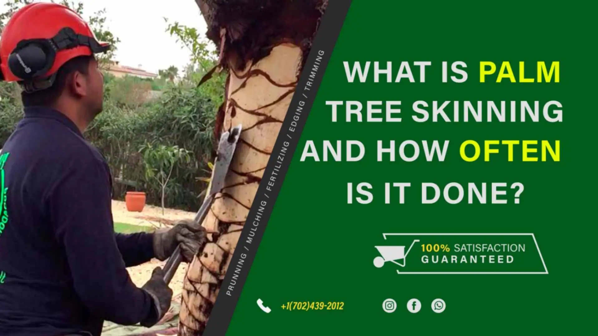 What is Palm Tree Skinning, and How Often is it Done?