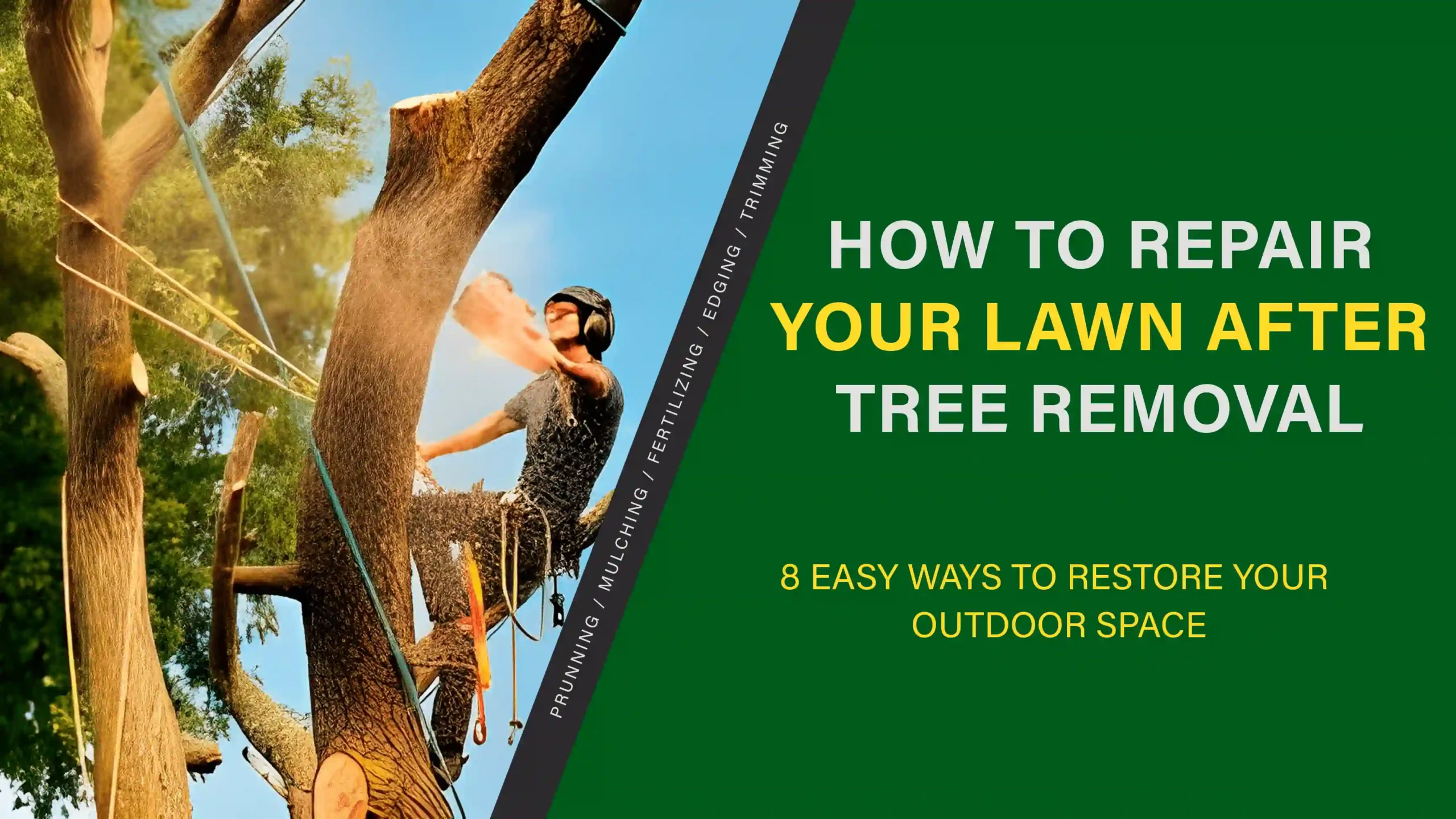How to Repair Your Lawn After Tree Removal – 8 Easy Ways