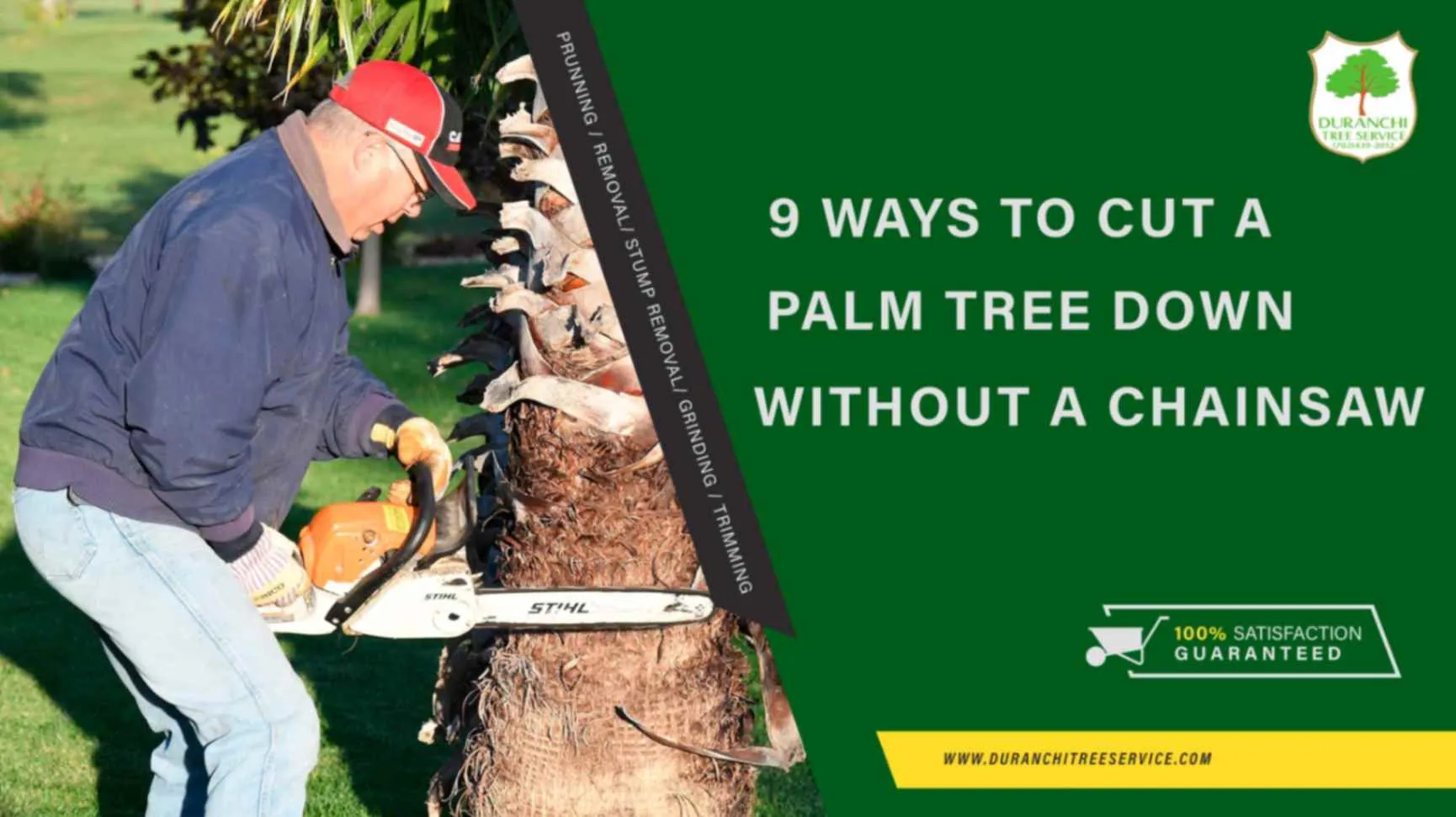 9 Palm Tree Removal Techniques Without a Chainsaw