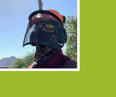 About | Duranchi Tree Services
