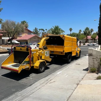 work| Duranchi tree service