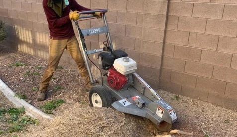 work| Duranchi tree service