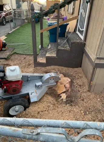 stump grinding service